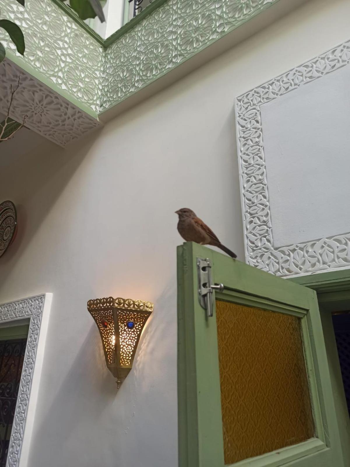Riad Med Agora マラケシュ エクステリア 写真